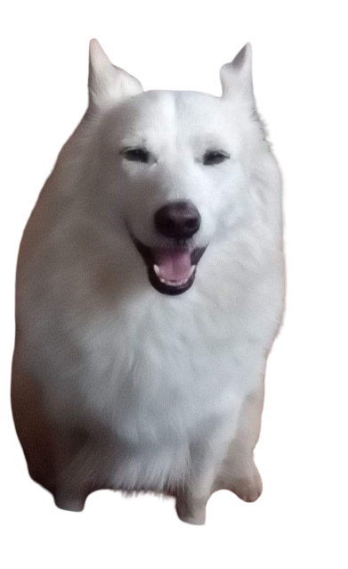CaesarGaming Logo